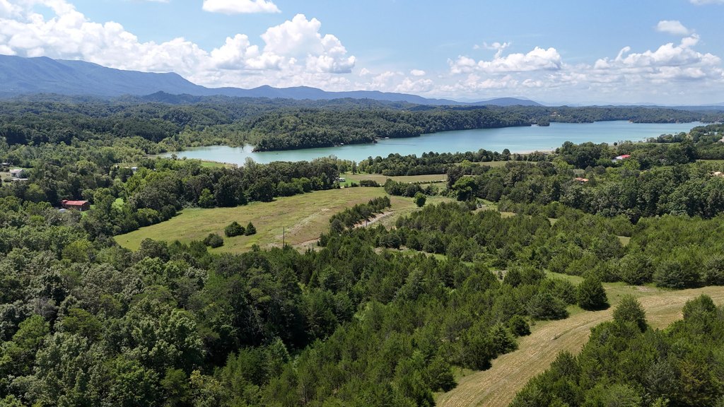 Dandridge, Tennessee, 37725, United States, ,Land,Forsale,1962201 Dandridge, Tennessee, 37725, United States, ,Land,Forsale,1962201