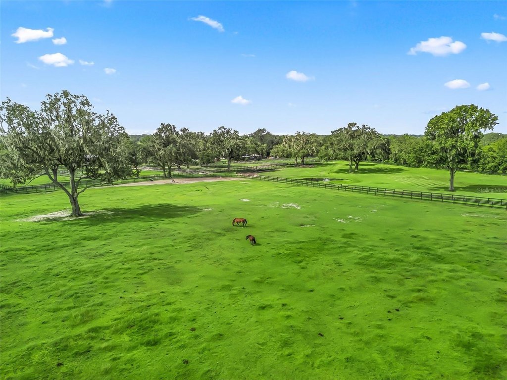 OCALA, Florida, 34482, United States, ,Land,Forsale,2009526