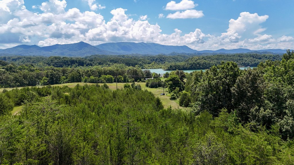 Dandridge, Tennessee, 37725, United States, ,Land,Forsale,1962201 Dandridge, Tennessee, 37725, United States, ,Land,Forsale,1962201