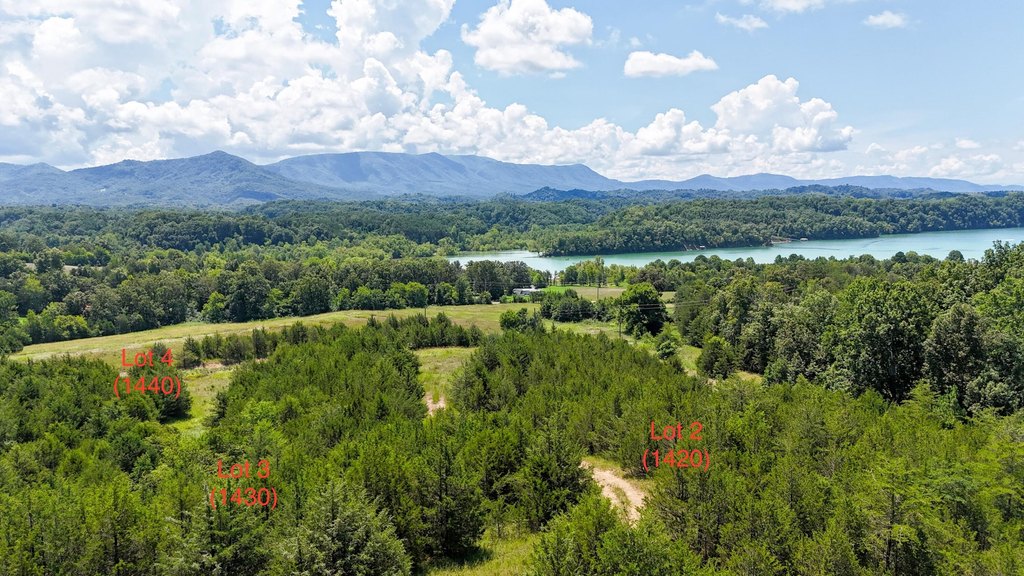 Dandridge, Tennessee, 37725, United States, ,Land,Forsale,1962201 Dandridge, Tennessee, 37725, United States, ,Land,Forsale,1962201