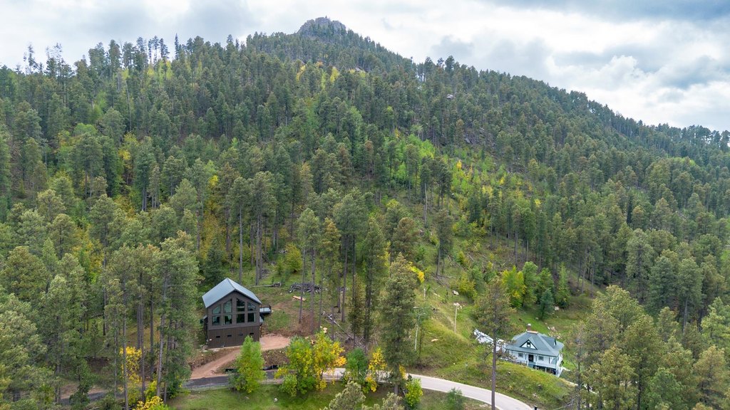 Deadwood, South Dakota, 57732, United States, 3 Bedrooms Bedrooms, ,2.5 BathroomsBathrooms,Residential,Forsale,1945958