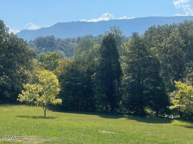 Seymour, Tennessee, 37865, United States, 3 Bedrooms Bedrooms, ,3 BathroomsBathrooms,Residential,Forsale,1960218