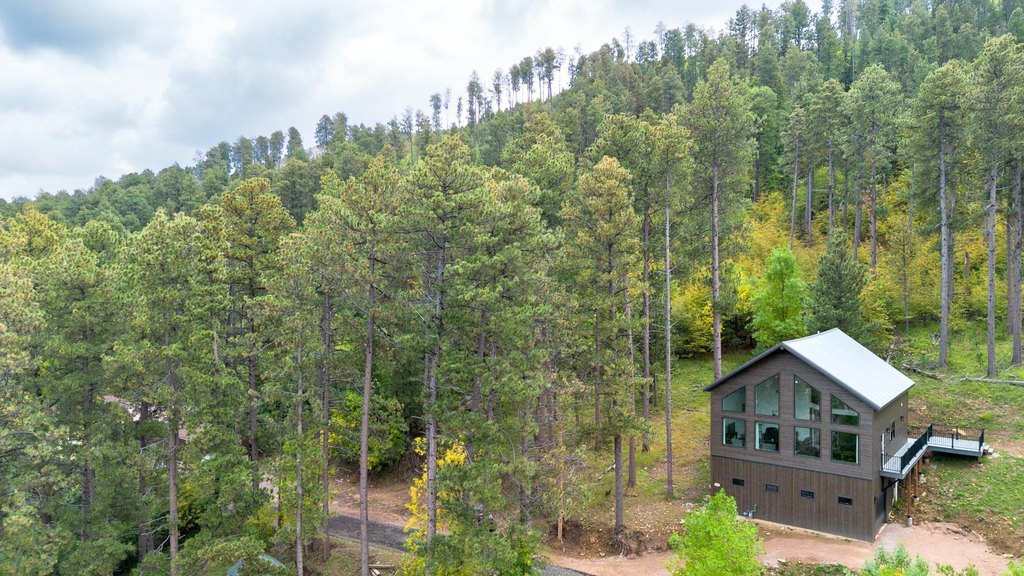 Deadwood, South Dakota, 57732, United States, 3 Bedrooms Bedrooms, ,2.5 BathroomsBathrooms,Residential,Forsale,1945958