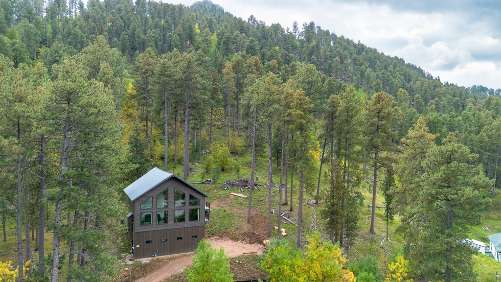 Deadwood, South Dakota, 57732, United States, 3 Bedrooms Bedrooms, ,2.5 BathroomsBathrooms,Residential,Forsale,1945958