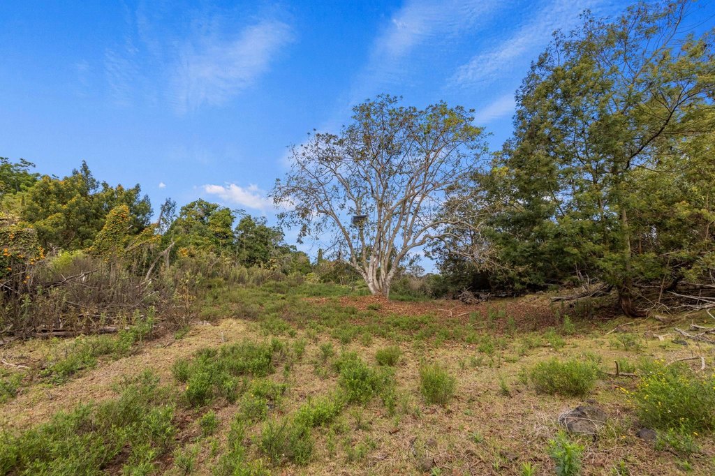 Kula, Hawaii, 96790, United States, ,Land,Forsale,1963544