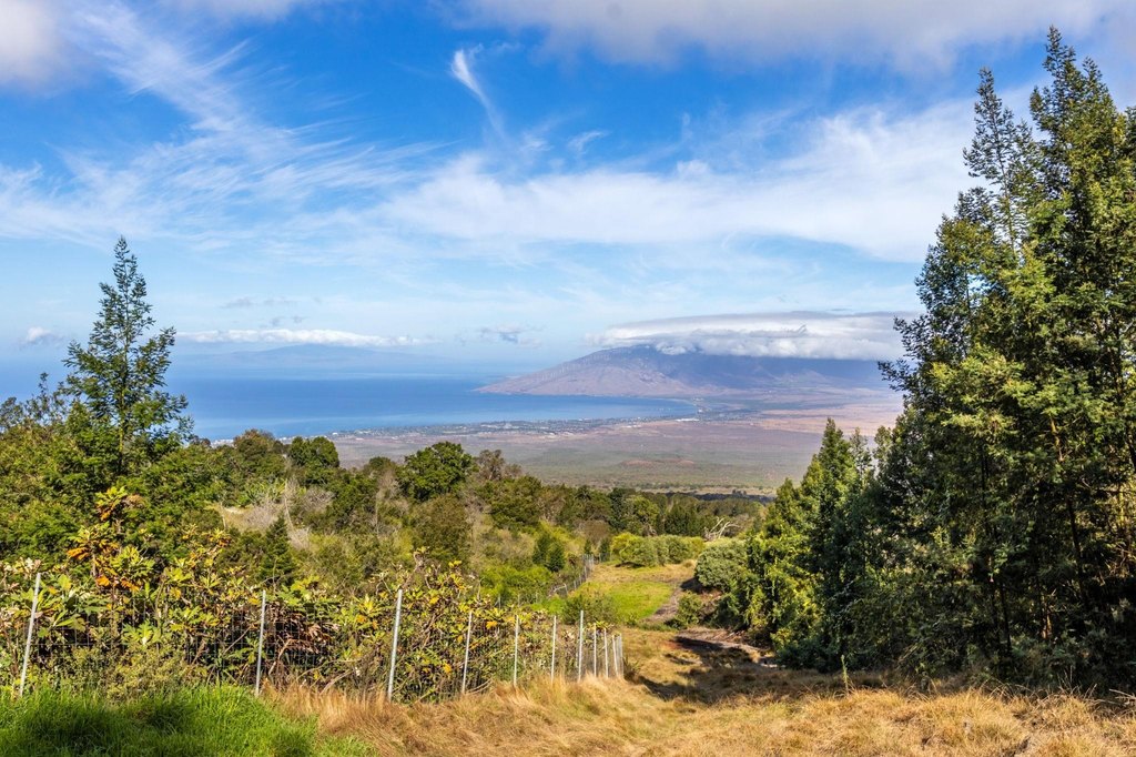 Kula, Hawaii, 96790, United States, ,Land,Forsale,1963544