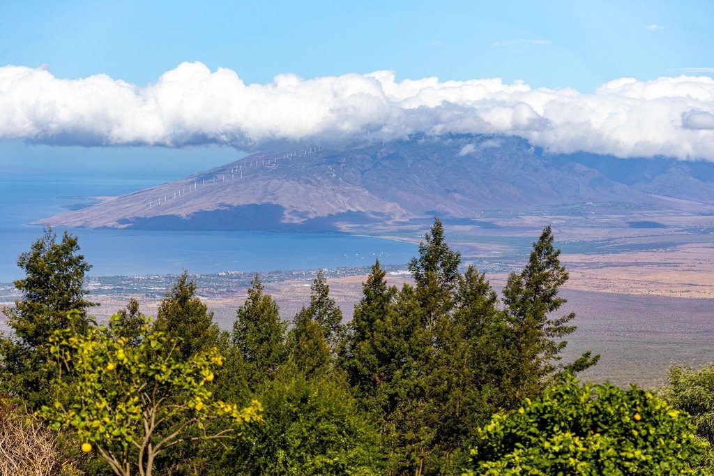 Kula, Hawaii, 96790, United States, ,Land,Forsale,1963544