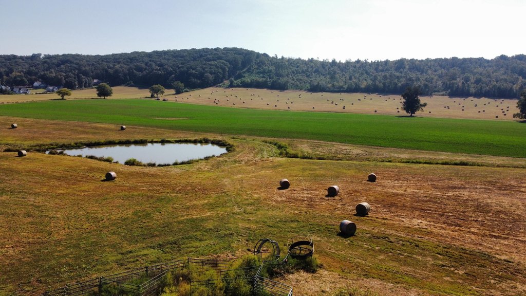 Cleveland, Tennessee, 37311, United States, 3 Bedrooms Bedrooms, ,2 BathroomsBathrooms,Residential,Forsale,2004694