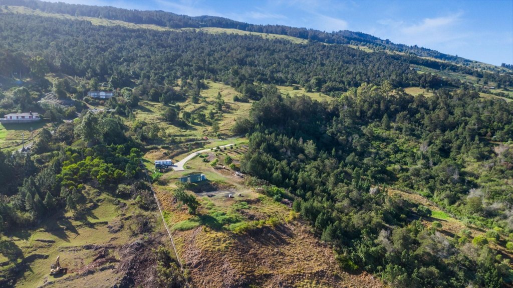 Kula, Hawaii, 96790, United States, ,Land,Forsale,1963544