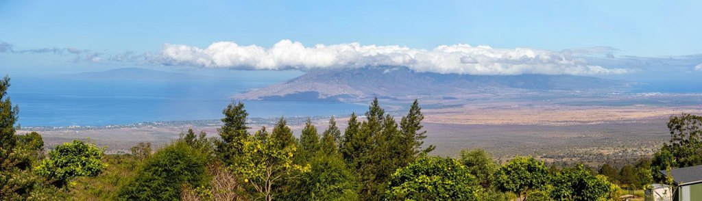 Kula, Hawaii, 96790, United States, ,Land,Forsale,1963544