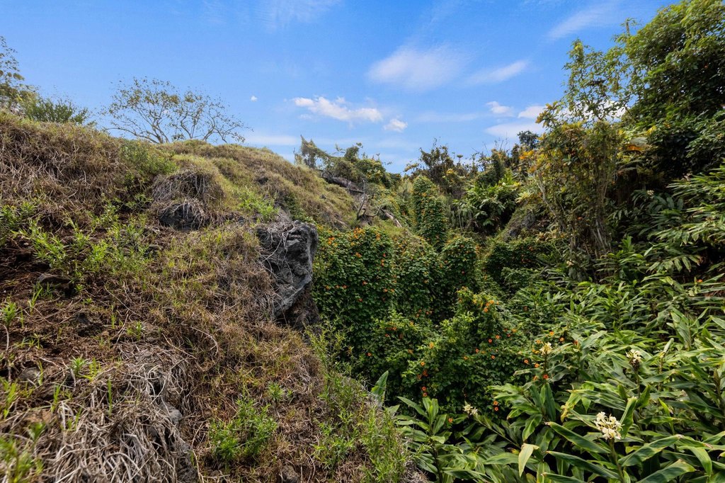 Kula, Hawaii, 96790, United States, ,Land,Forsale,1963544