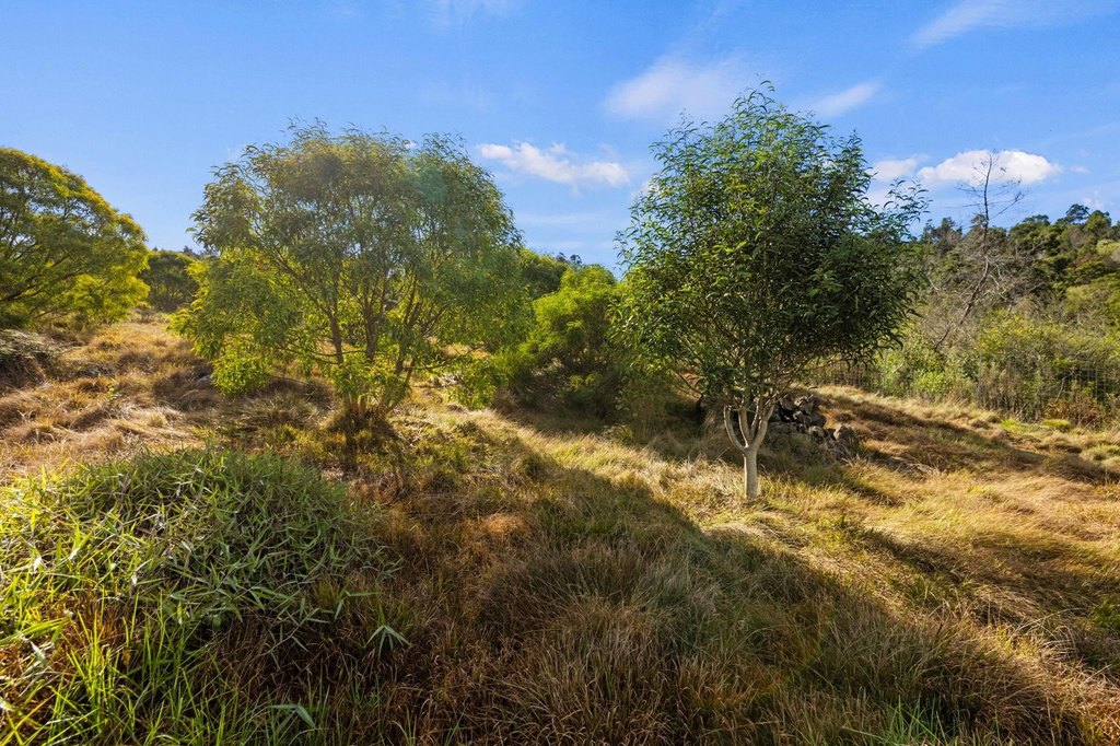 Kula, Hawaii, 96790, United States, ,Land,Forsale,1963544