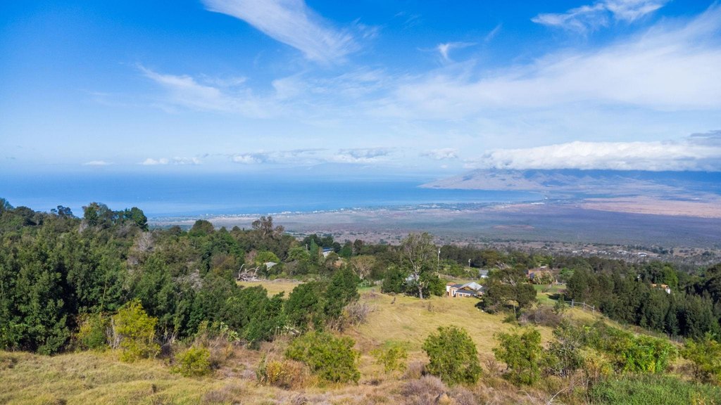 Kula, Hawaii, 96790, United States, ,Land,Forsale,1963544