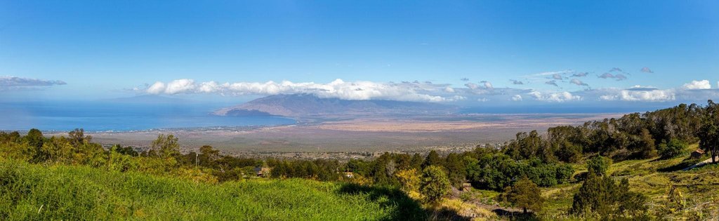 Kula, Hawaii, 96790, United States, ,Land,Forsale,1963544