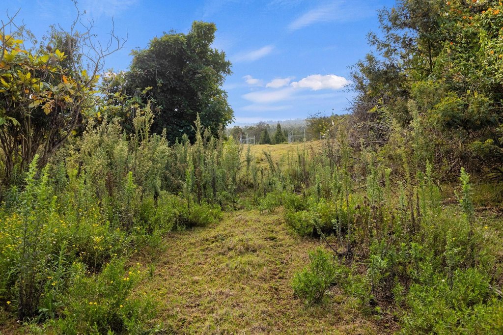 Kula, Hawaii, 96790, United States, ,Land,Forsale,1963544