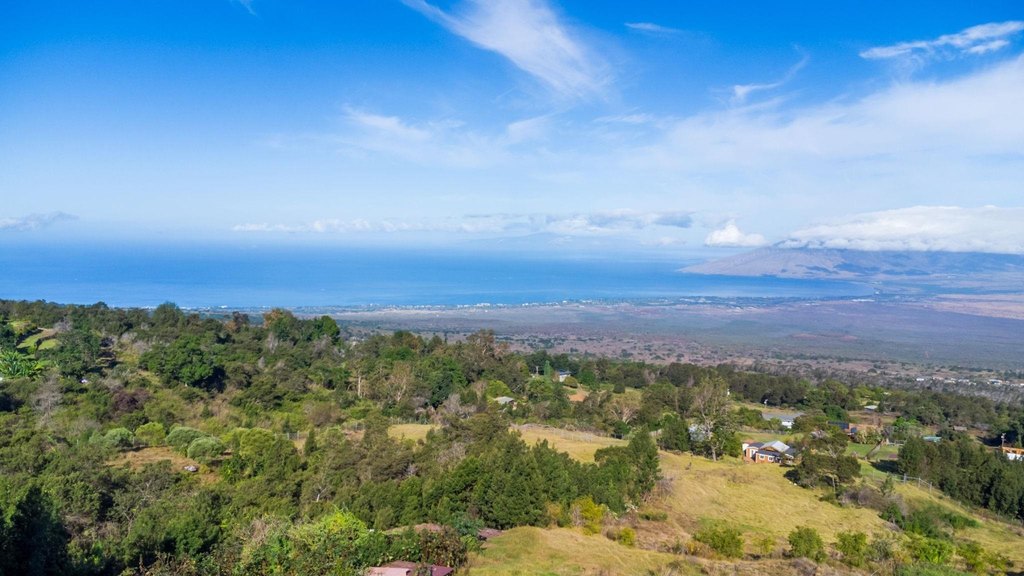 Kula, Hawaii, 96790, United States, ,Land,Forsale,1963544