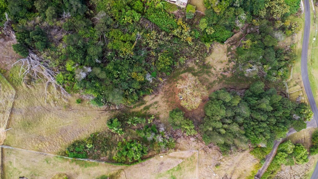 Kula, Hawaii, 96790, United States, ,Land,Forsale,1963544