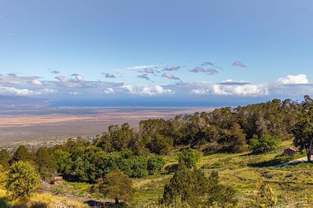 Kula, Hawaii, 96790, United States, ,Land,Forsale,1963544