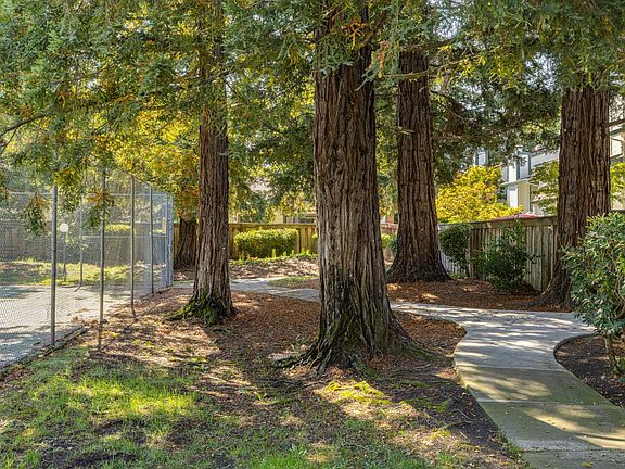 Petaluma, California, 94954, United States, 3 Bedrooms Bedrooms, ,2 BathroomsBathrooms,Residential,Forsale,1953132