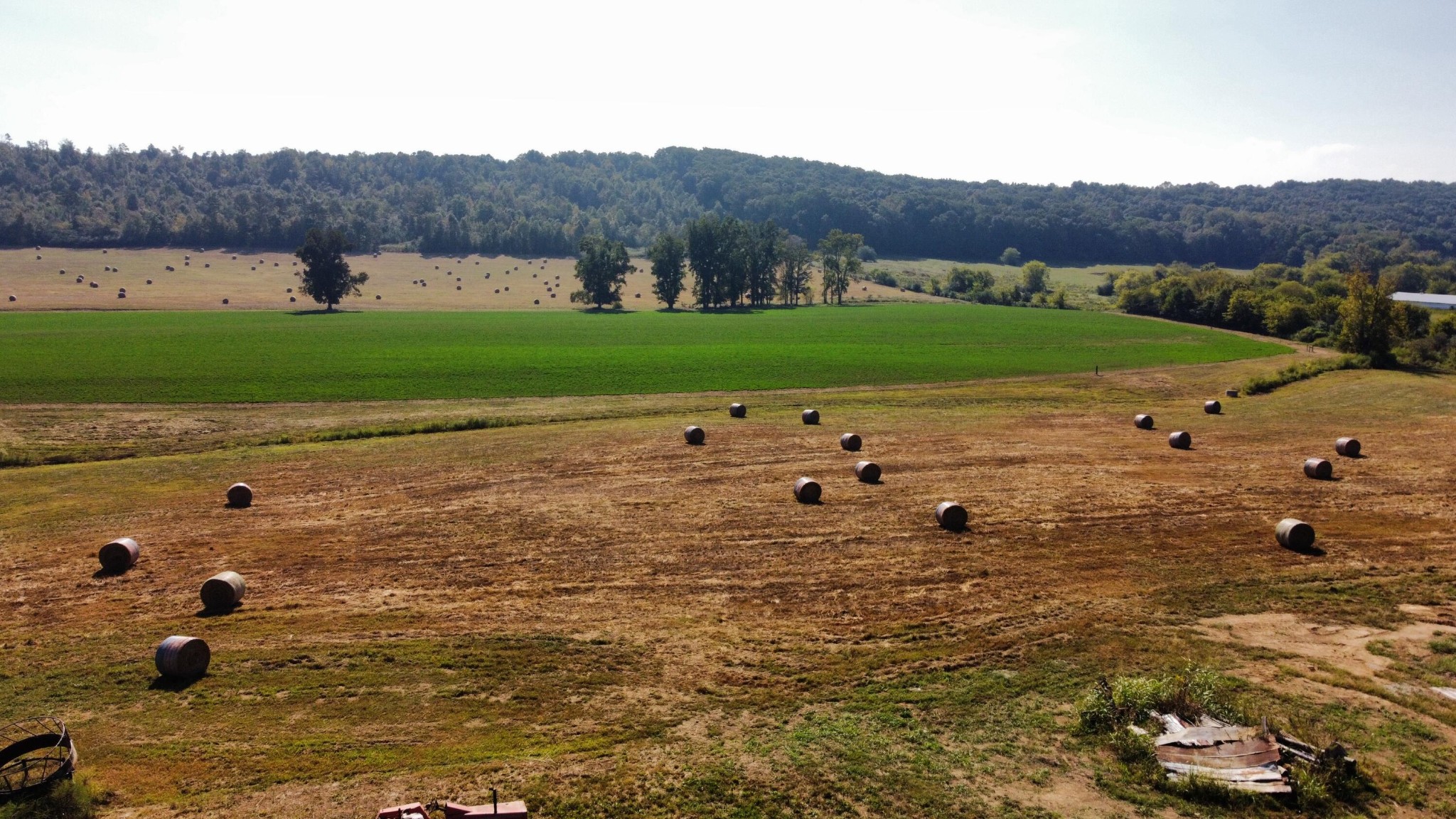 Cleveland, Tennessee, 37311, United States, 3 Bedrooms Bedrooms, ,2 BathroomsBathrooms,Residential,Forsale,2004690