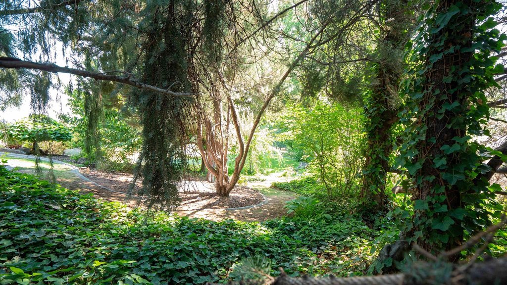 Richland, Washington, 99352, United States, 2 Bedrooms Bedrooms, ,3 BathroomsBathrooms,Residential,Forsale,1922429