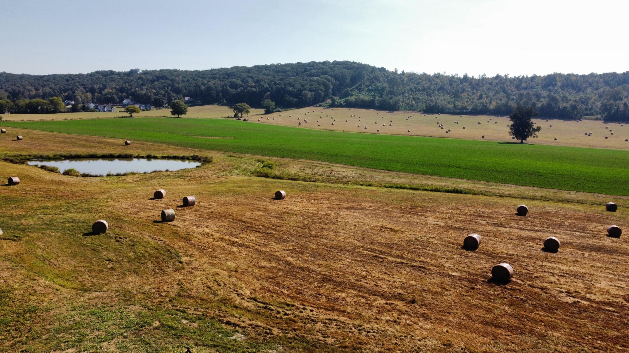 Cleveland, Tennessee, 37311, United States, 3 Bedrooms Bedrooms, ,2 BathroomsBathrooms,Residential,Forsale,2004690