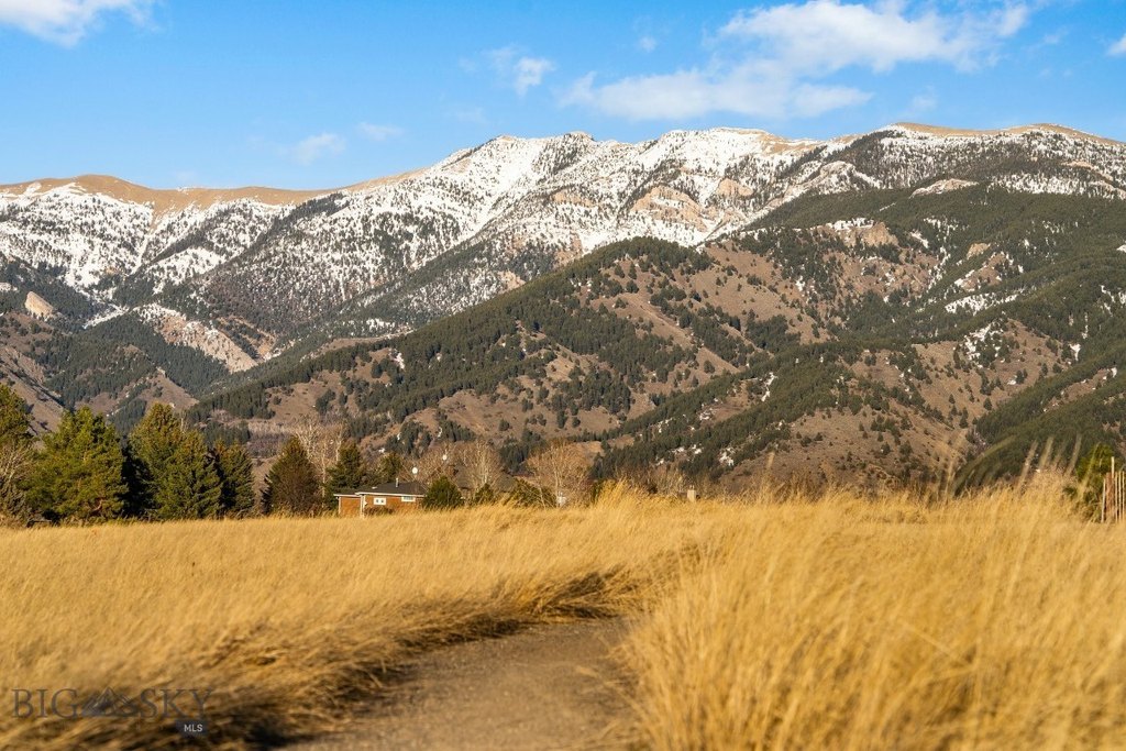 Bozeman, Montana, 59715, United States, ,Land,Forsale,1986984