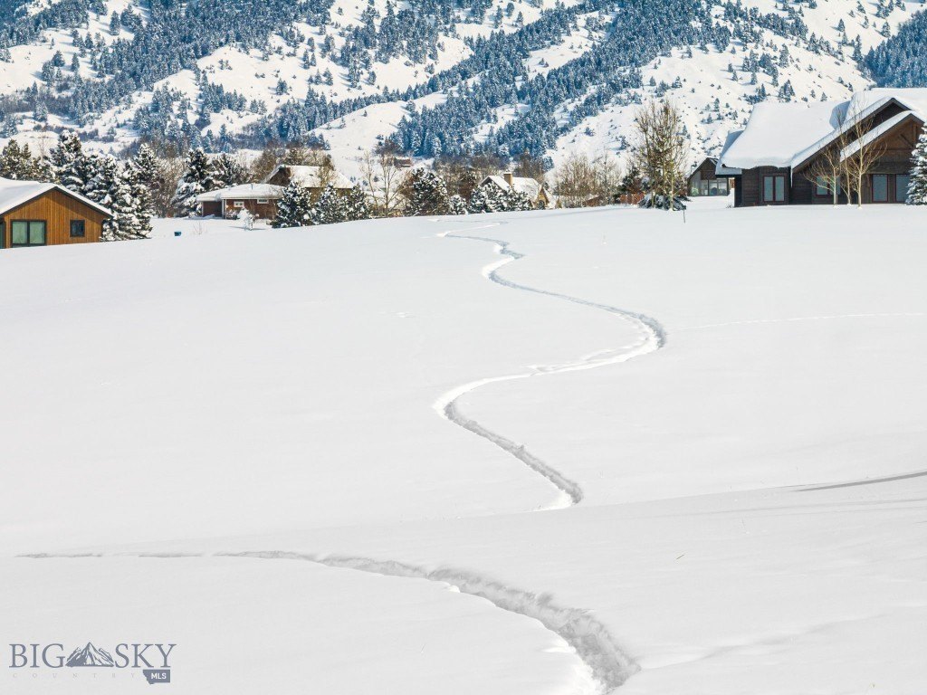 Bozeman, Montana, 59715, United States, ,Land,Forsale,1986984