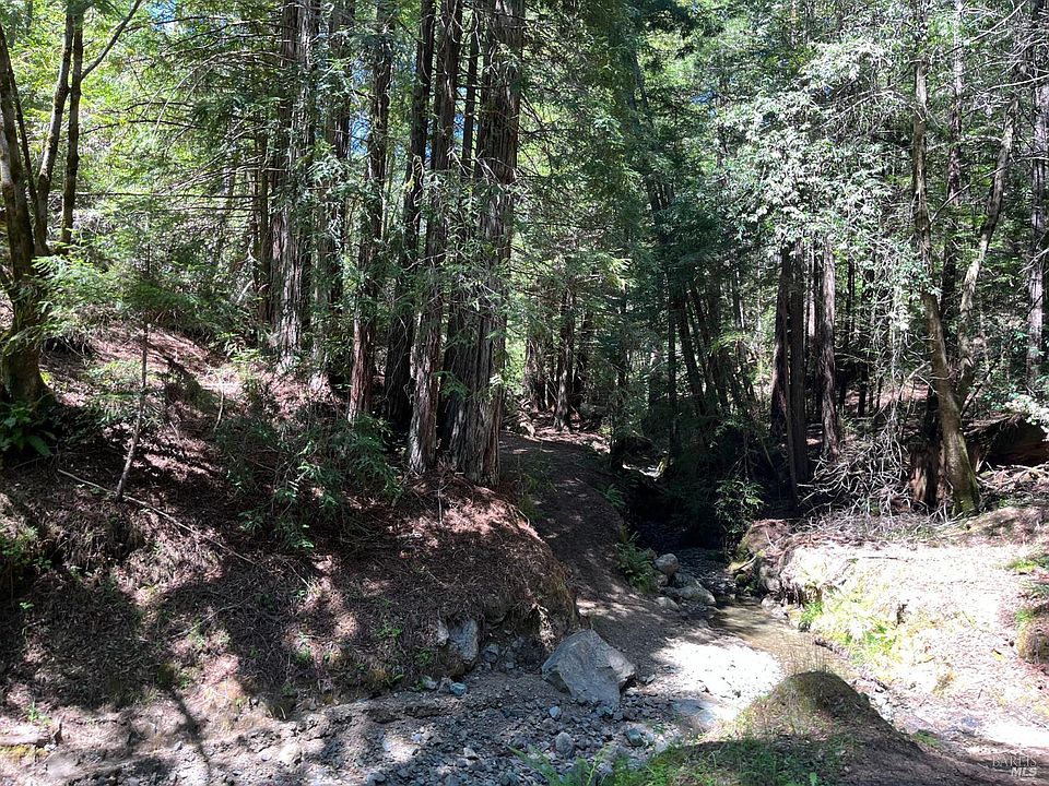 Cazadero, California, 95421, United States, 5 Bedrooms Bedrooms, ,2 BathroomsBathrooms,Residential,Forsale,1953143