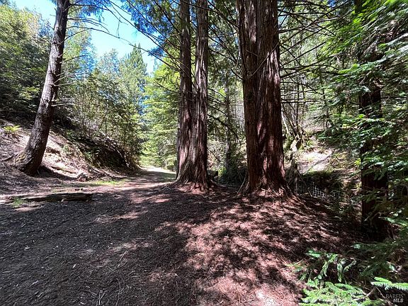 Cazadero, California, 95421, United States, 5 Bedrooms Bedrooms, ,2 BathroomsBathrooms,Residential,Forsale,1953143