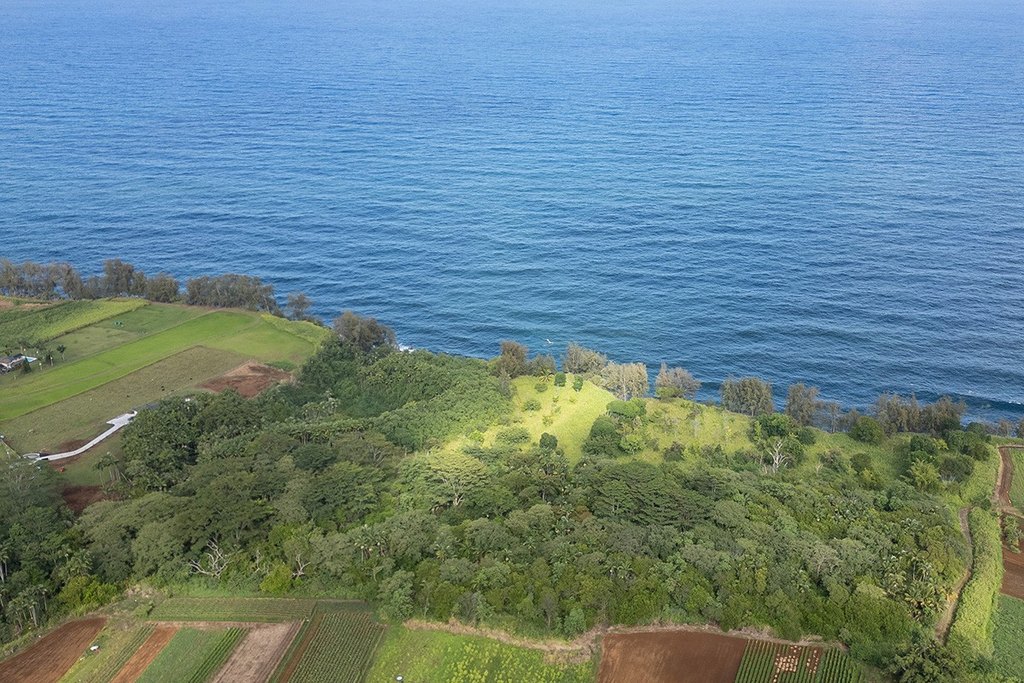Pepeekeo, Hawaii, 96783, United States, ,Land,Forsale,1989841