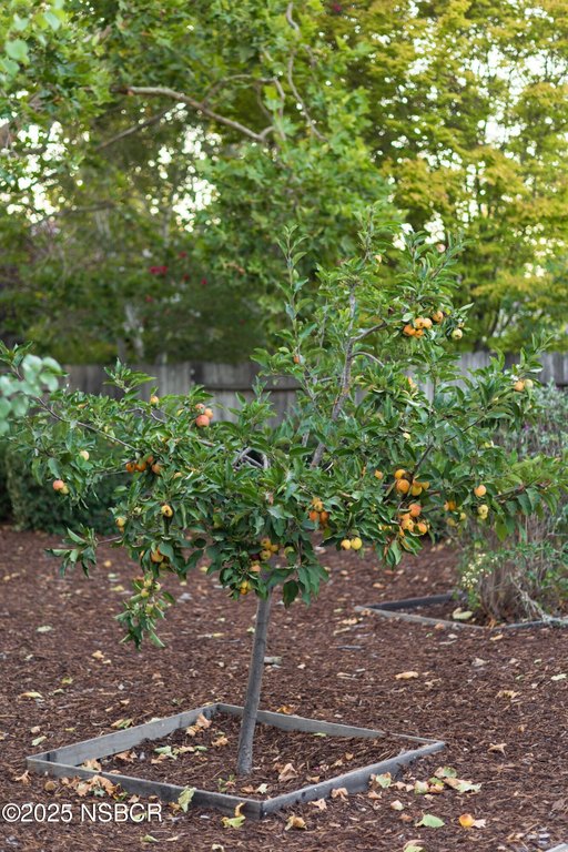 Santa Ynez, California, 93460, United States, 4 Bedrooms Bedrooms, ,2 BathroomsBathrooms,Residential,Forsale,1963623