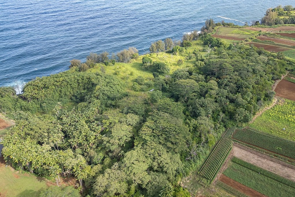 Pepeekeo, Hawaii, 96783, United States, ,Land,Forsale,1989841