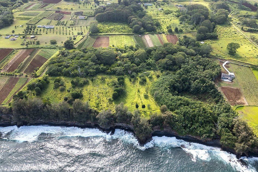 Pepeekeo, Hawaii, 96783, United States, ,Land,Forsale,1989841