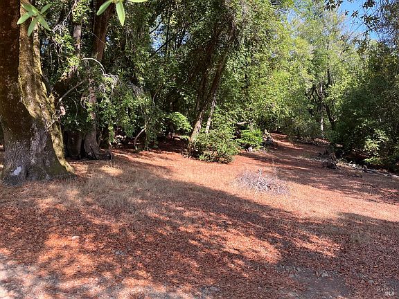 Cazadero, California, 95421, United States, 5 Bedrooms Bedrooms, ,2 BathroomsBathrooms,Residential,Forsale,1953143