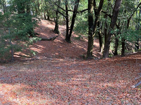 Cazadero, California, 95421, United States, 5 Bedrooms Bedrooms, ,2 BathroomsBathrooms,Residential,Forsale,1953143