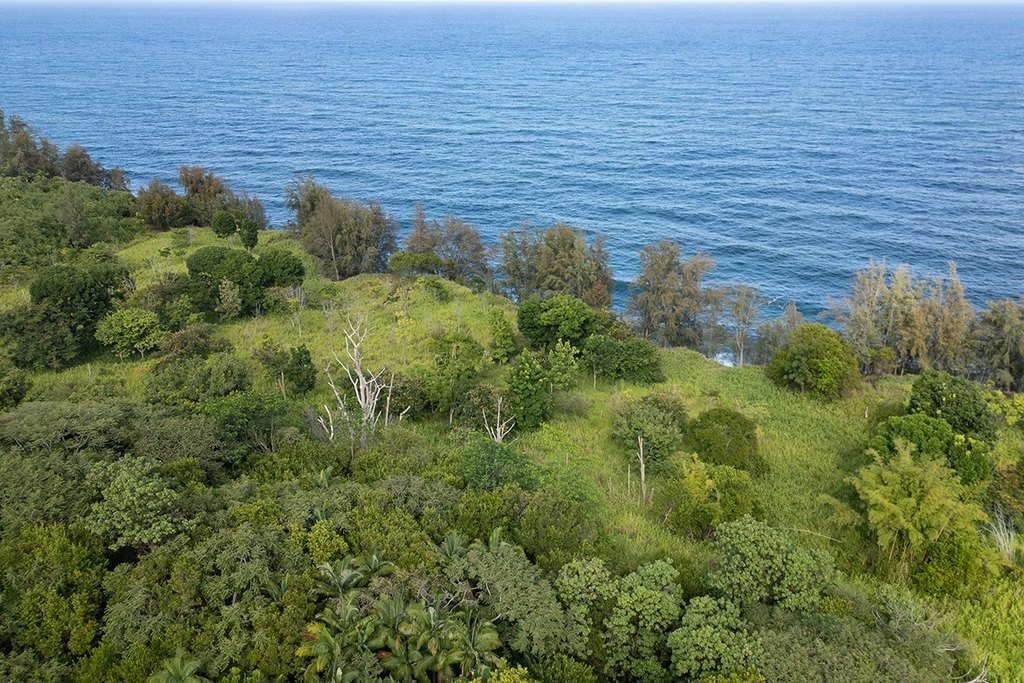 Pepeekeo, Hawaii, 96783, United States, ,Land,Forsale,1989841