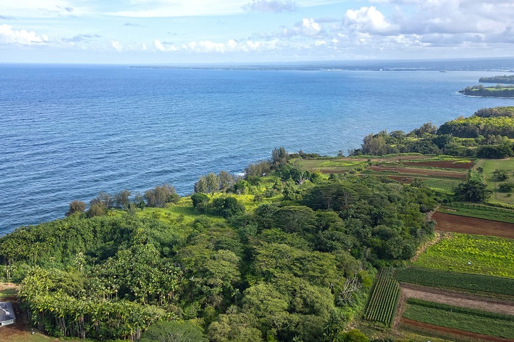 Pepeekeo, Hawaii, 96783, United States, ,Land,Forsale,1989841