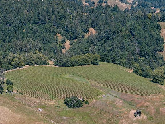 Cazadero, California, 95421, United States, 5 Bedrooms Bedrooms, ,2 BathroomsBathrooms,Residential,Forsale,1953143