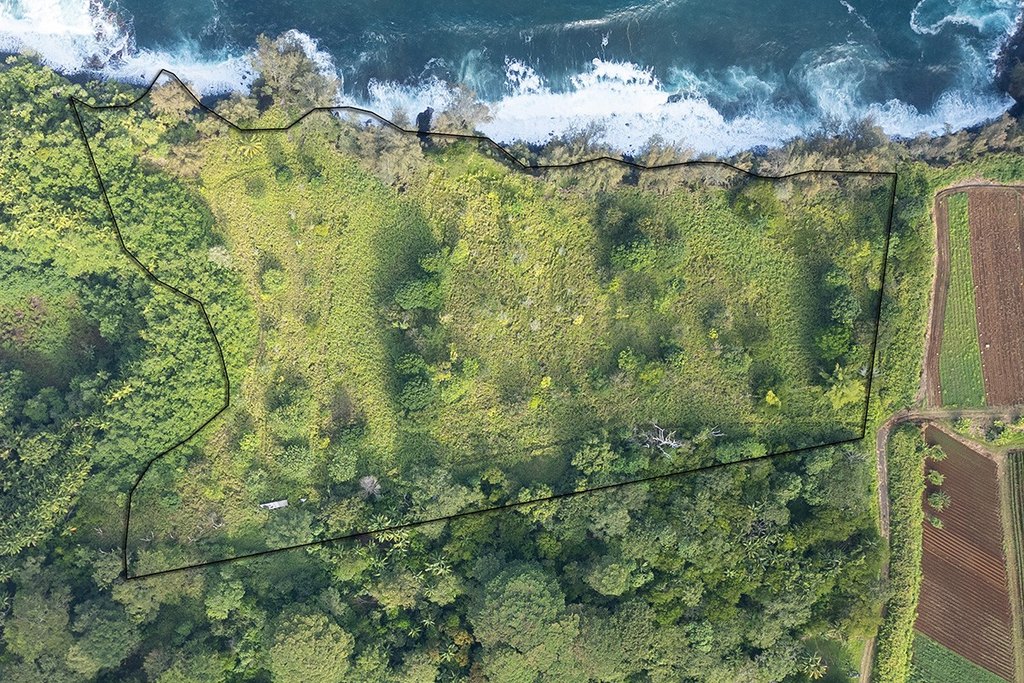 Pepeekeo, Hawaii, 96783, United States, ,Land,Forsale,1989841