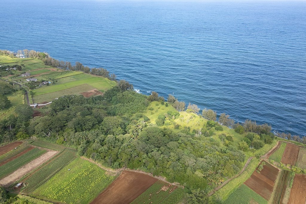 Pepeekeo, Hawaii, 96783, United States, ,Land,Forsale,1989841