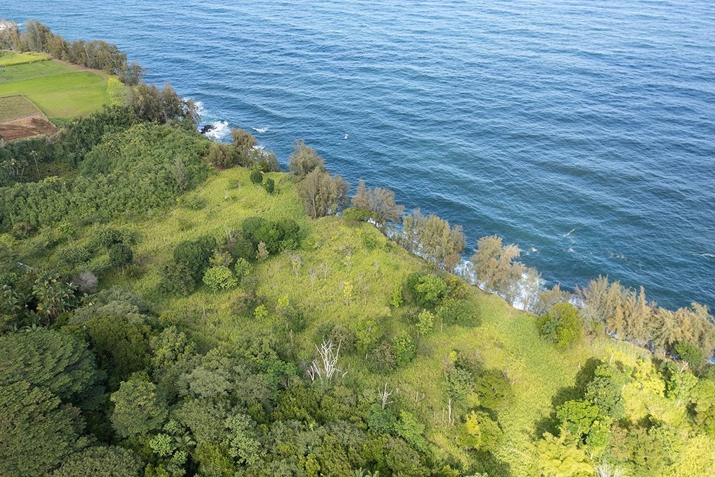 Pepeekeo, Hawaii, 96783, United States, ,Land,Forsale,1989841