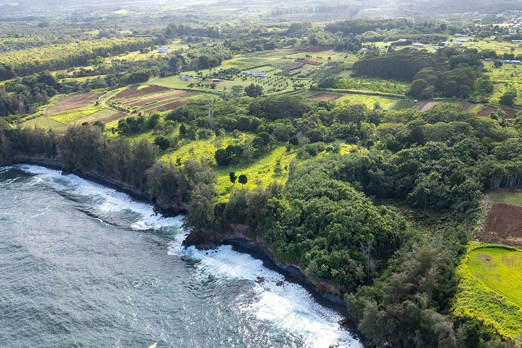 Pepeekeo, Hawaii, 96783, United States, ,Land,Forsale,1989841