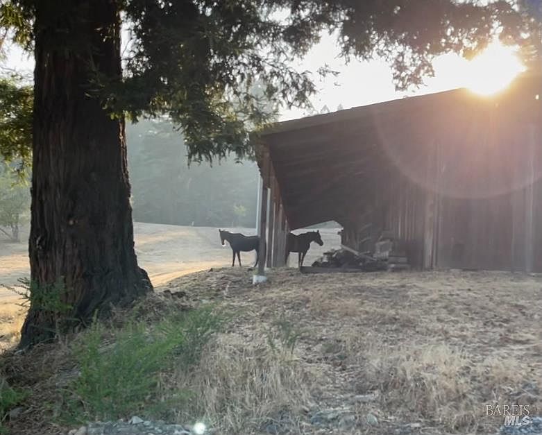 Stewarts Point, California, 95497, United States, 5 Bedrooms Bedrooms, ,2 BathroomsBathrooms,Residential,Forsale,1953142