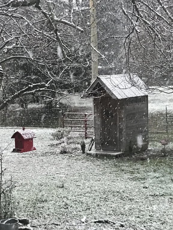 Trion, Georgia, 30753, United States, 3 Bedrooms Bedrooms, ,1 BathroomBathrooms,Residential,Forsale,2004684