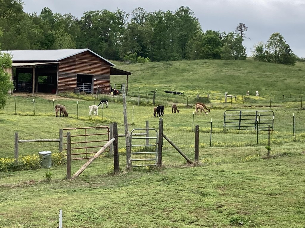 Trion, Georgia, 30753, United States, 3 Bedrooms Bedrooms, ,1 BathroomBathrooms,Residential,Forsale,2004684