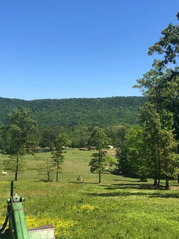 Trion, Georgia, 30753, United States, 3 Bedrooms Bedrooms, ,1 BathroomBathrooms,Residential,Forsale,2004684