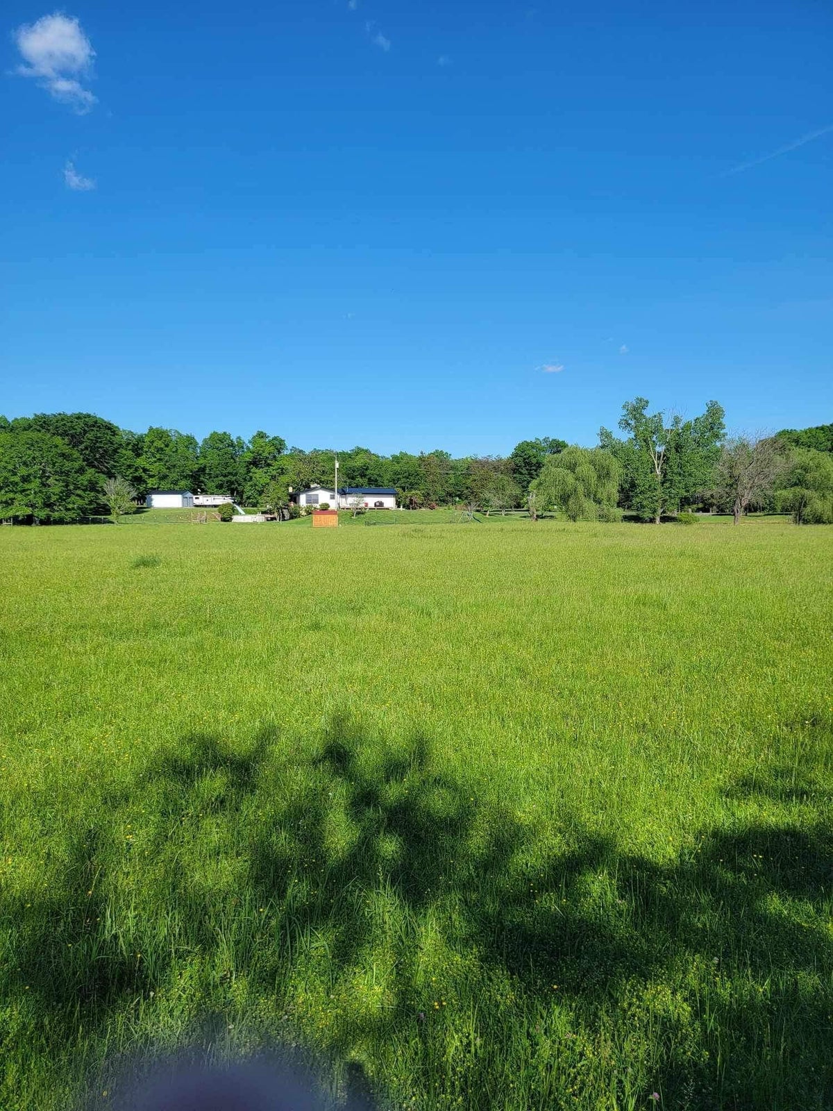 Chickamauga, Georgia, 30707, United States, 4 Bedrooms Bedrooms, ,3 BathroomsBathrooms,Residential,Forsale,2009515