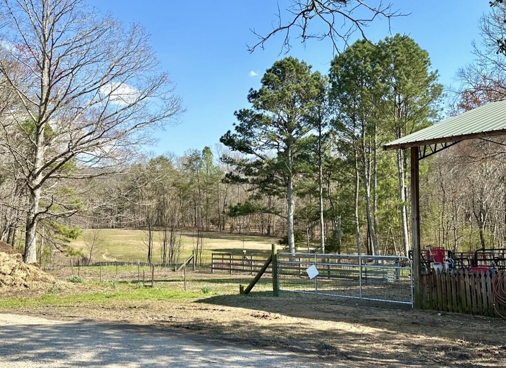 Trion, Georgia, 30753, United States, 3 Bedrooms Bedrooms, ,1 BathroomBathrooms,Residential,Forsale,2004684