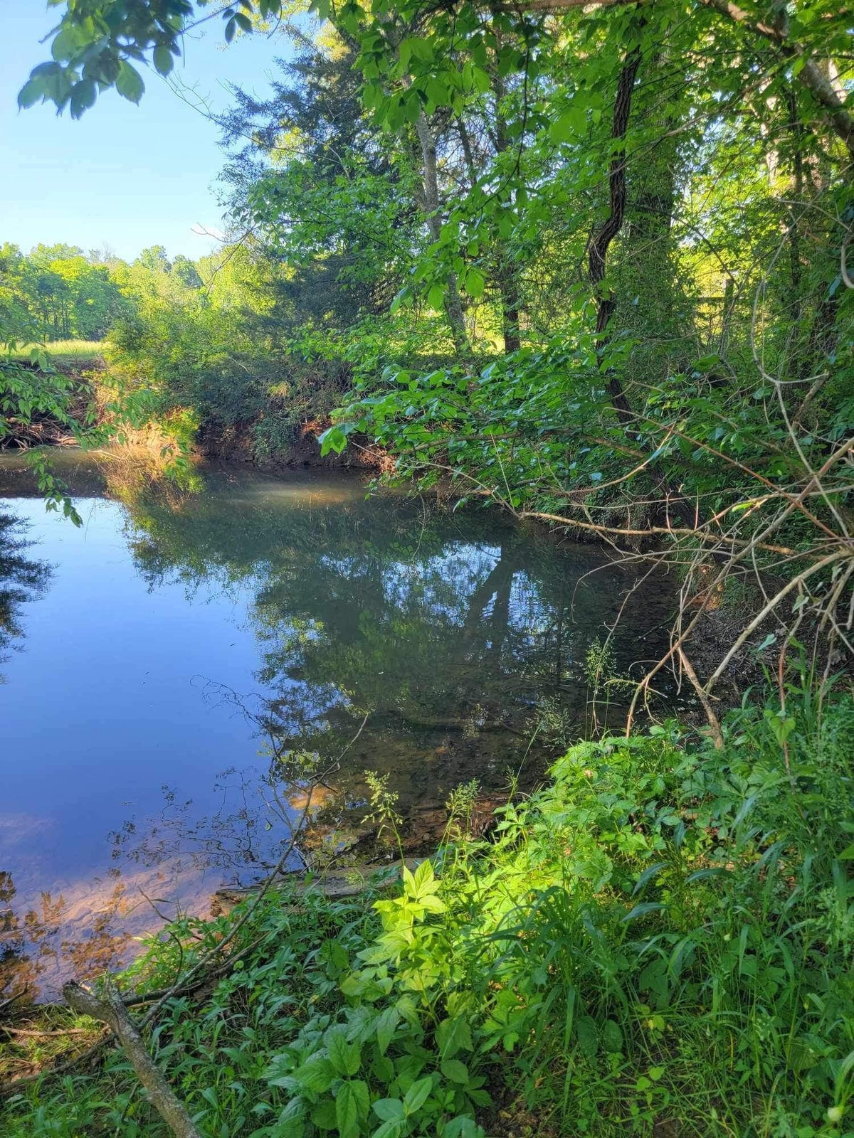 Chickamauga, Georgia, 30707, United States, 4 Bedrooms Bedrooms, ,3 BathroomsBathrooms,Residential,Forsale,2009515